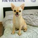 ZonLi Cooling Blanket for Hot Sleepers, 90"x90" Queen Size Lightweight Cool Touch Breathable Summer Blanket for Night Sweats, All-Season Cold Blankets, Tropical Gray