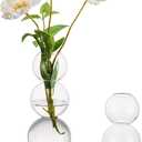 Glass Bubble Vases for Flowers, Hewory 2pcs Clear Unique Cute Single Flower Vase for Centerpieces, Funky Aesthetic Vase Skinny Bud Vase, Cool Groovy Decor for Home Living Room Bedroom Office Tabletop