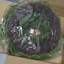 Norfolk Pine Christmas Wreaths for Front Door - 26 Inch Artificial Greenery Wreath with Red Berries for Outdoor Indoor Xmas Holiday Decor, Farmhouse Winter Decorations