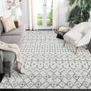 Machine Washable Area Rugs 5x7, Neutral Geometric Rugs for Living Room, Low Pile Modern Rug, Stain Resistant Soft Moroccan Boho Area Rug for Bedroom Dining Room Laundry Decor Gray