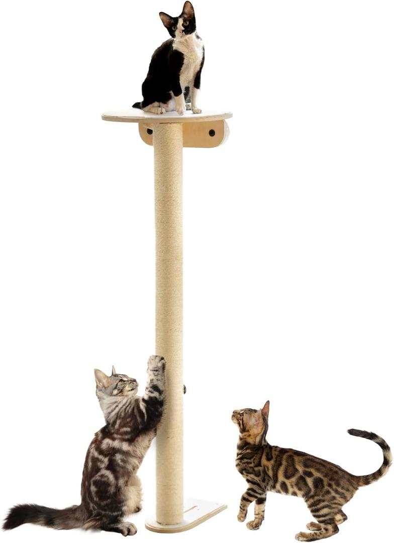 52" Tall Cat Scratching Post for Indoor Cats and Kittens with Platform, Premium Kitten Scratcher Sisal Scratch Posts for Indoor Cats 52" Tall Cat Scratching Post for Indoor Cats and Kittens with Platform, Premium Kitten Scratcher Sisal Scratch Posts for Indoor Cats