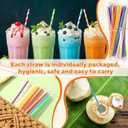 2000 PCS Individually Wrapped Disposable Plastic Drinking Straws, (9" Long, 0.24" Diameter), for Juice, Iced Coffee, Soda, and Party Beverages(Colorful) (Regular)