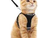 rabbitgoo Cat Harness and Leash Set for Walking Escape Proof, Adjustable Soft Kittens Vest with Reflective Strip for Cats, Comfortable Outdoor Vest, Black, M