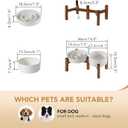 Havniva Elevated Slow Feeder Dog Bowls, 1.2 Cups/7.3 inch Slow Feeders + 6.1 inch Ceramic Dog Food & Water Bowls Set with Acacia Wood Stand Puzzle Bowls for Fast Eater, Small Dogs Anti-Choking, Vanilla White