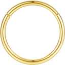 ORANGELOVE Hypoallergenic Nose Rings 20G 18G 16G 14G 12G 10G 8G 316l Surgical Steel Septum Jewelry Hinged Segment Ring Body Piercing Nose Hoop Lip Rings Nose Helix Cartilage Rook Earrings