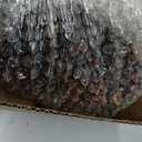 10FT Lotus Rain Chain, Rain Chains for Gutters with 12 Cups, Adjustable Rain Catcher Chain with Bell for Eaves Drainage, Replacement for Downspout