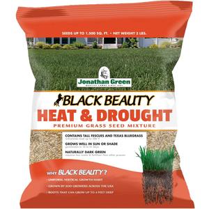 Jonathan Green (10514) Black Beauty Heat & Drought Resistant Grass Seed - Cool Season Lawn Seed (3 lb)