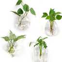 Mkono Propagation Wall Hanging Planter Glass Terrarium Flower Vases Holder for Indoor Plants, Home Living Room Office Decor Plant Lover Gifts, Set of 4