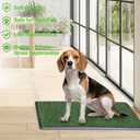Reusable Training Pad Potty with 2-Pack Replaceable Artificial Grass Quick Absorbent Indoor Portable Dog Patio Potty Washable Pee Pad for Small Medium to Large Dog