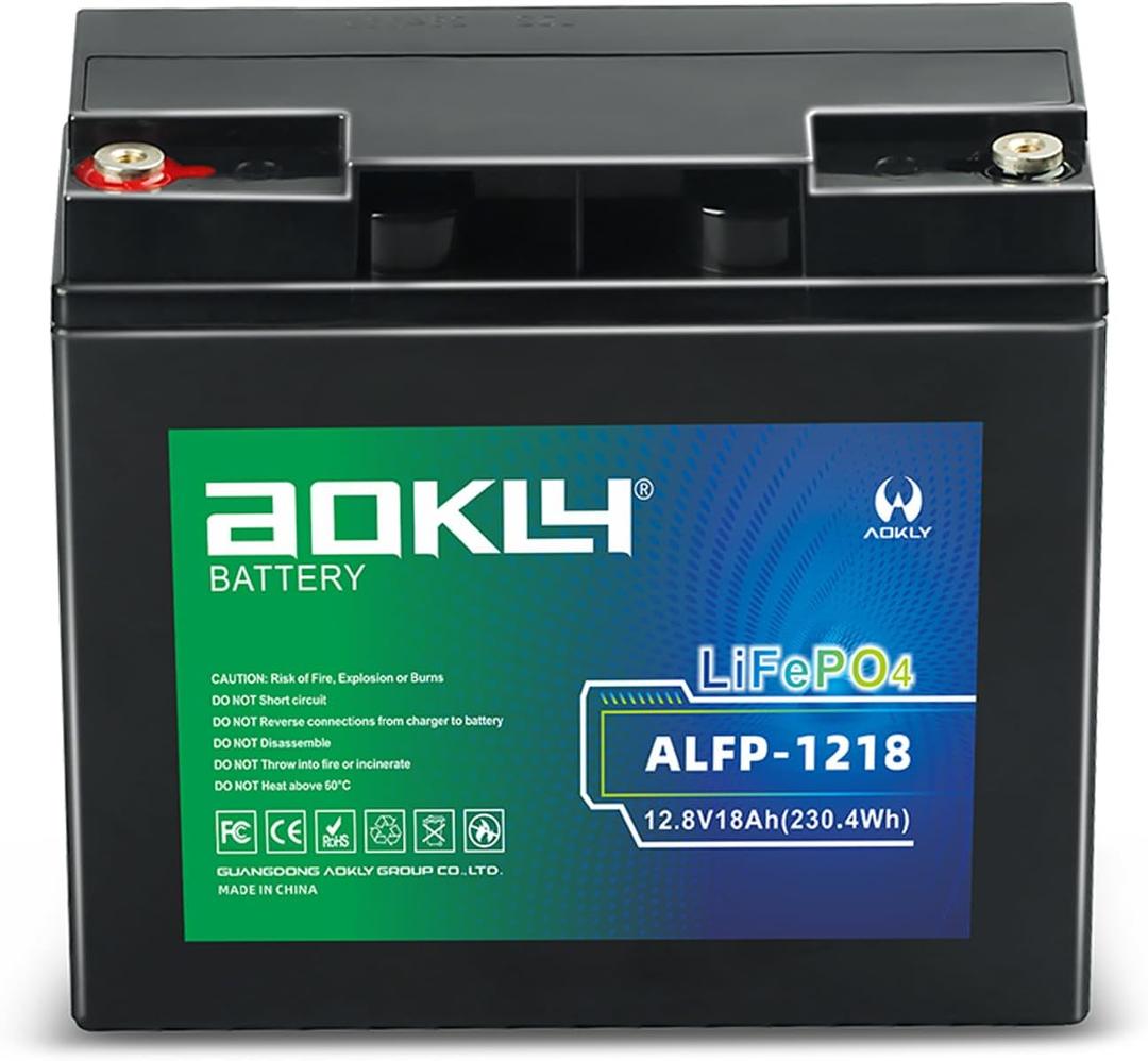 12V 18Ah Lithium LiFePO4 Battery, 4000+ Cycles, Built-in 18A BMS for UPS Backup Power, Fish Finder, Camping Lighting