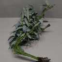 4pcs Faux Greenery Branches Stems Fake Olive Branches Artificial Plants for Vase Home Party Decoration (Gray Green)