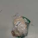 RFID-Blocking Travel Bra Wallet, Hidden Money Pouch with Adjustable Elastic Strap, Ideal Secret Pocket Protect Your Passport Credit Cards Valuables (Nude)