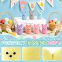 2 x Easter Basket Stuffers for Kids,Easter Egg Fillers, Cute Bunny Toys Easter Gifts for Kids, Party Favors Classroom Exchange, Easter Decorations (12PCS)