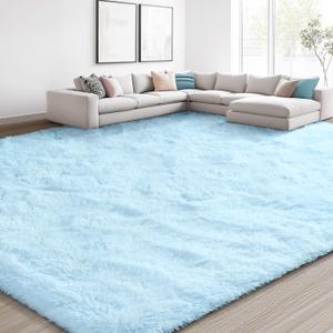 EVOIONOS 6x9 Washable Large Area Rug for Living Room, Fluffy Shag Rug for Bedroom, Ultra Soft Plush Non Slip Carpet Indoor Floor Bedside Nursery Kids Girls Room Dorm, Home Decor Aesthetic, Light Blue