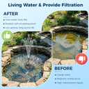 NFESOLAR 30W Solar Pond Filter Kit with Fountain Pump, 210 GPH Solar Pond Pump & Outdoor Filter Box, Submersible Water Pump with 16.4FT Cable & 6.6FT Tubing for Koi Pond, Fish Tank, Garden Fountain