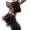 Nobel Gems Dachshund Ornament