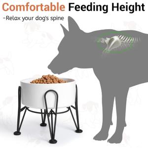 Kitwinney Elevated Dog Bowls, Ceramic Raised Dog Bowl Set with Anti-Slip and Non-Tip Metal Stand, 1 Pack Pet Food and Water Feeding Bowls for Small and Medium Dogs (White,3.6 Cups)