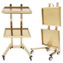 2 Tier Metal Rolling Cart, Stainless Steel Salon Tray with Wheels, Foldable Utility Carts, Folding Salon Tray Trolley for Tattoo (Golden)