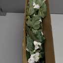 HyeFlora Artificial Flowers for Outdoors 2PCS Faux Petunias Silk Fake Flowers for Outside Planter UV Resistant Realistic Home Garden Porch Decor (White)