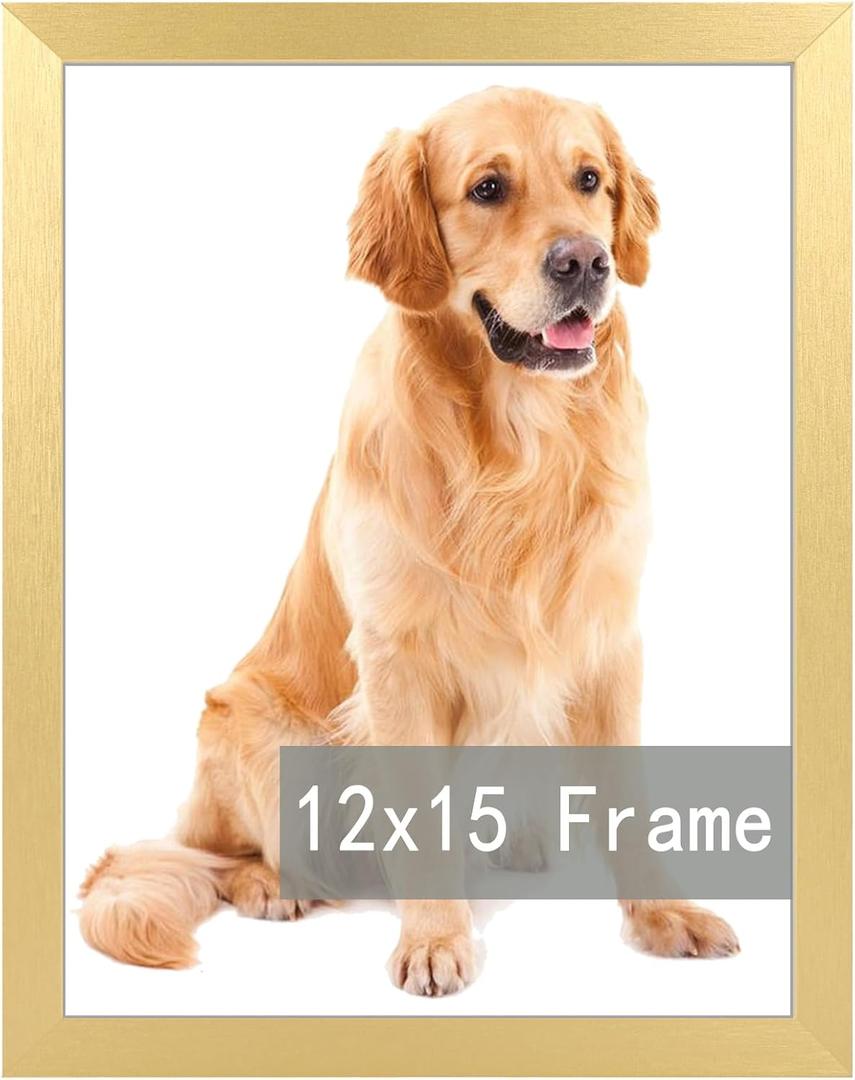 15"x12" inch Picture Frame, Horizontal and Vertical Formats for Wall Hanging, 15"x12" Wall Gallery Poster Photo Frames, Gold, Pack of 2 