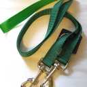 2 Hounds Freedom No Pull 1 Inch Training Leash ONLY Works with No Pull Harnesses (Green)