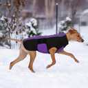 Kuoser Dog Jacket, Warm Dog Coats for Small Dogs, Reflective Doggie Winter Jacket Cold Weather Pet Coats with Leash Hole, Winter Coat Apparel for Yorkie Chihuahua, Purple XS (XS (Chest Girth: 9.8-12.6''))