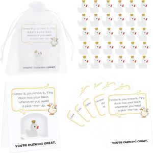 30 Pcs Employee Appreciation Gifts Bulk - Unique Staff Thank You Gifts with Tiny Resin Animals & Stands - Motivation for Coworkers, Students, Teachers, Paraprofessionals, and Principals-Duck