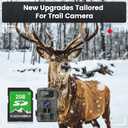 INDMEM 2GB SD Card, 2 Pack 2GB Class 4 Flash Memory Card 2G SLC Standard Secure Digital Cards for Old Digital Camera and Trail Camera