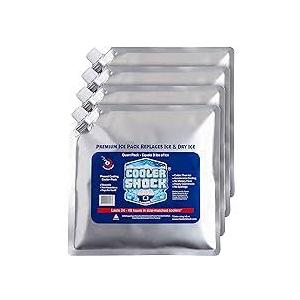 Premium Ice Pack Replaces Ice &Dry Ice 4 Pack