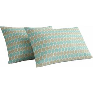 Queen Pillowcases Set of 2, Cotton Pillow Covers Queen Size 20x30 Inches, Envelope Closure, Decorative Pillowcases, Pillows not Included (Multicolor, Paisley)