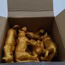 Soaoo 26 Pieces Gold Animals Figures Set 14 Pcs Plastic Safari Figures 12 Pcs Faux Tropical Palm Leaves Birthday Cake Topper(Safari Animal)
