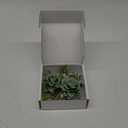 Serwalin Green Corsage and Boutonniere Set 2pcs, 6-7inch Boutonniere and Wrist Corsage Wristband Prom Flower Wedding Flowers Accessories Prom Suit Decorations