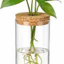 HOMSFOU Plant Propagation Stations, Glass Hydroponic Vase with Cork Lid, Terrarium Jar for Propagating Hydroponic, Plant Growing, Home & Office Decor