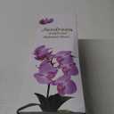 Jusdreen 1 Pcs Glass Vase Artificial Orchid Flower Bonsai Vivid Phalaenopsis Flowers Potting for Home Office Dcor, Table Centerpiece Room Decorations 14.5"(Glass Vase/Purple Orchid) (Glass-purple)