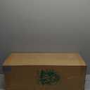 QIANYUN Artificial Hanging Boston Ferns  2 Pack Large Faux Fern Bushes, UV Resistant Outdoor Hanging Plants for Front Porch, Patio, and Indoor Dcor (Green)