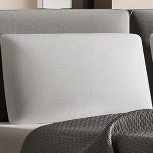 TCUNKSA 100% Talalay Latex Pillow Bed Pillow for Sleeping, Extra Soft Natural Latex Sleeping Pillow for Back, Stomach or Side Sleepers, Removable Breathable Cotton Cover (Queen (Extra Soft))