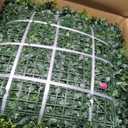 20''x20'' (24 Pieces) Artificial Hedge Vine Panels Greenery Backdrop