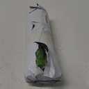 100pcs 600 ft Artificial Ivy Garland Fake Hanging Vines for Room Decor Artificial Greenery Ivy Vine Plants for Jungle Party Bedroom Home Garden Outdoor Wedding Wall Decor