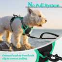 rabbitgoo Dog Harness No Pull with 2 Leash Clips, Adjustable Soft Padded, Reflective Oxford No Choke Pet Vest with Easy Control Handle for Puppy, Black & Turquoise, XS