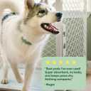 Earth Rated Max Absorbency Puppy Pee Pads for Dogs Absorbs 2X Faster & 2X More, Leak-Proof, Odor Control Potty Training, Unscented, Large, 22 x 23, 40 Count