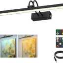 FUNCHDAY Dimmable Picture Light with Remote, 2 Colors Wireless Art Lights for Wall, 5000mAh Rechargeable Battery Gallery Pictures Lights, 16in Metal Display Light for Photo,Frame (Black) (15.9 Inches, Painted Black)