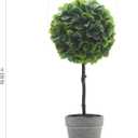 Elements Artificial Boxwood Topiary, 17 Inch