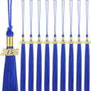 Chuangdi 10 Pieces 2026 Grad Graduation Tassels Graduation Cap Tassels with 2026 Charms Graduate Hat Decoration for School Party Favors(Navy Blue)