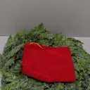 Dingion Small Norfolk Pine Christmas Wreath 11.8 in Christmas Kitchen Cabinet Norfolk Pine Wreath Mini for Front Door Artificial Farmhouse Rustic Xmas Decor for Window Fireplace