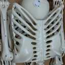 5.4FT/165cm Halloween Skeleton Life Size Imitation Skeletons - Full Body Skeletons Halloween Decoration with Glowing Eyes and Posable Joints,Realistic Plastic Skeleton for Halloweens Outdoor (White)