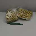 Trytuny 50pcs Glitter Poinsettia Christmas Ornaments, Artificial Flowers with Clips Stems for DIY Wreath Making, Holiday Home Party Decorations, Indoor Use (Gold)