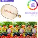SD LUX Oversized Vintage Giant LED Light Bulb Huge Edison Bulb- Dimmable, 8W 450LM (50W Equi), Warm White 2200K, Medium E26 Base - Perfect for Decorative Pendant Lighting, 1 Pack(DG170)