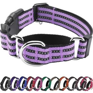 Hikiko Martingale Dog Collars Reflective Nylon Dog Collar with Quick Release Buckle Adjustable Training No Slip Dog Collar (Large, Lavender)