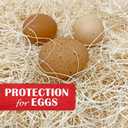 Nest Box Pads for Chicken Nesting Boxes - 13 x 13 Pads Made in USA from Sustainably Sourced Aspen Excelsior (10 Pack)