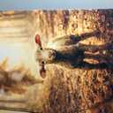 OWTXPXRY Jesus Running After Lost Sheep Canvas Wall Art, 24x36in